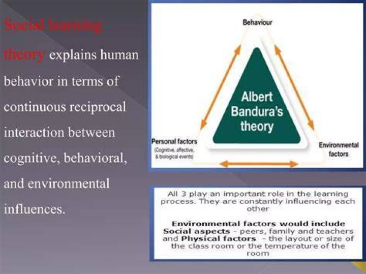 What is Albert Bandura's social cognitive theory?