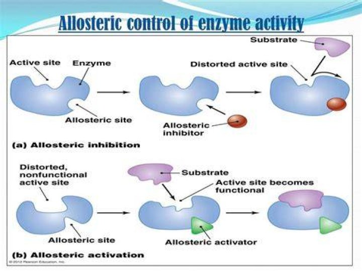 What is allosteric control of enzyme activity?
