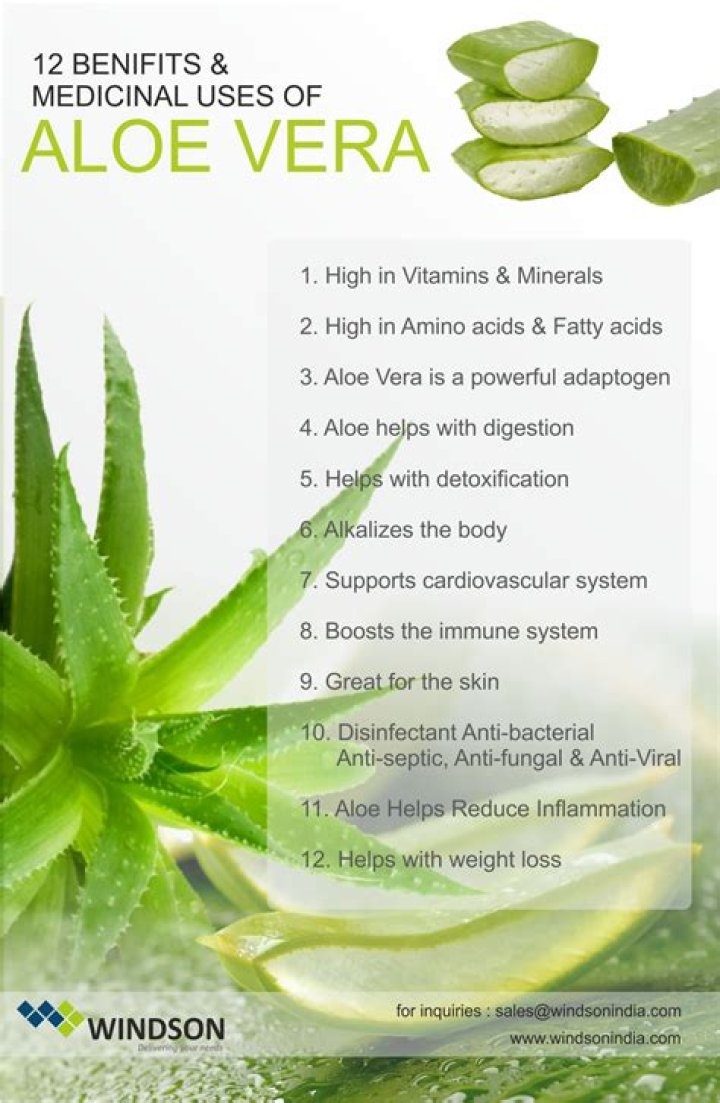What is aloe used for?
