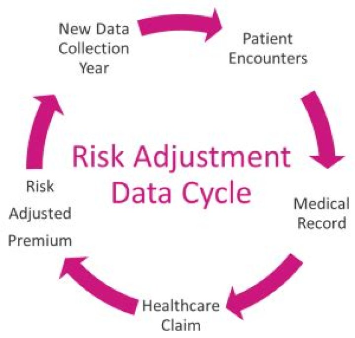 What is an adjustment in insurance?