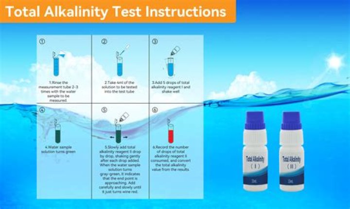 What is an alkalinity test?