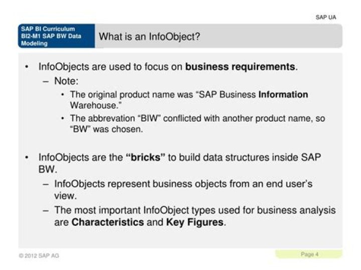 What is an InfoObject?