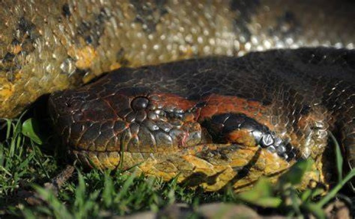 What is Anaconda and Conda?