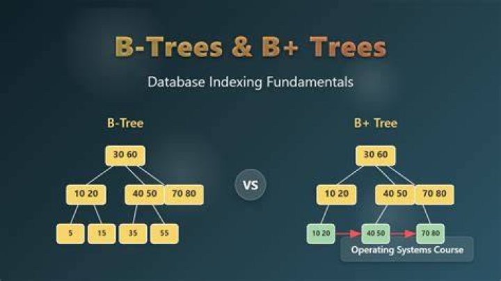 What is B+ tree with example?