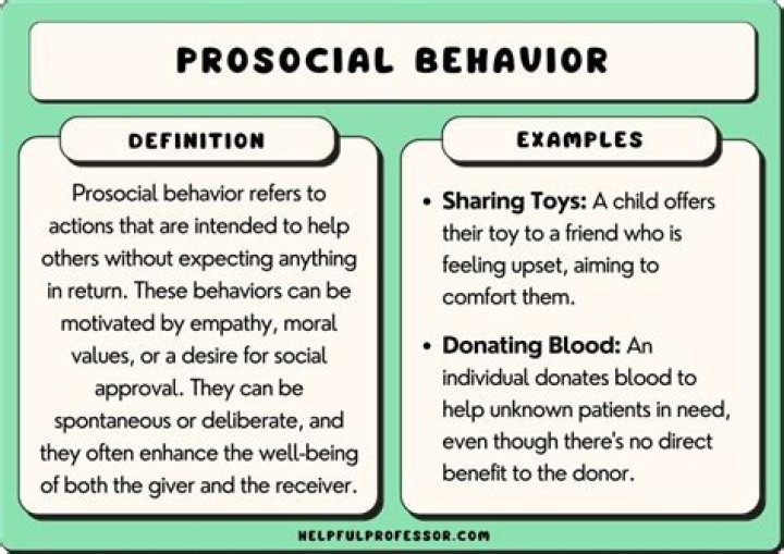 What is behavior in social psychology?