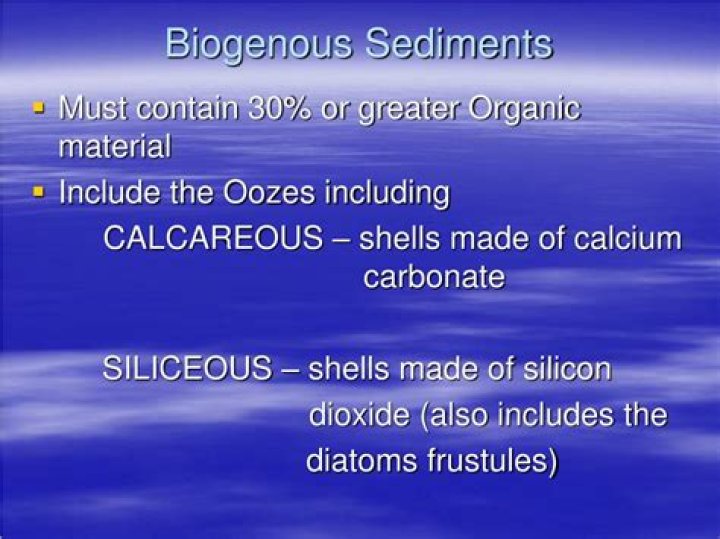 What is Biogenous?
