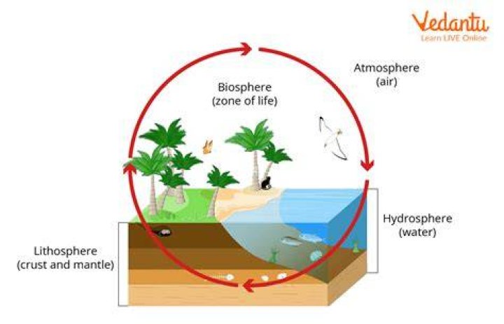 What is Biosphere example? | ContextResponse.com