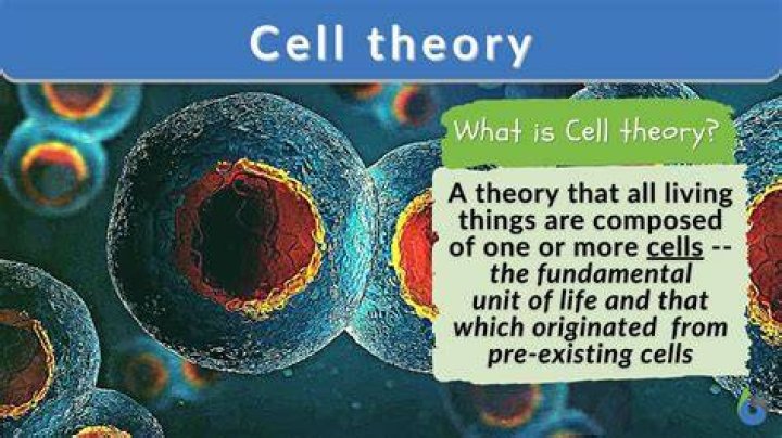 What is cell theory kid definition?