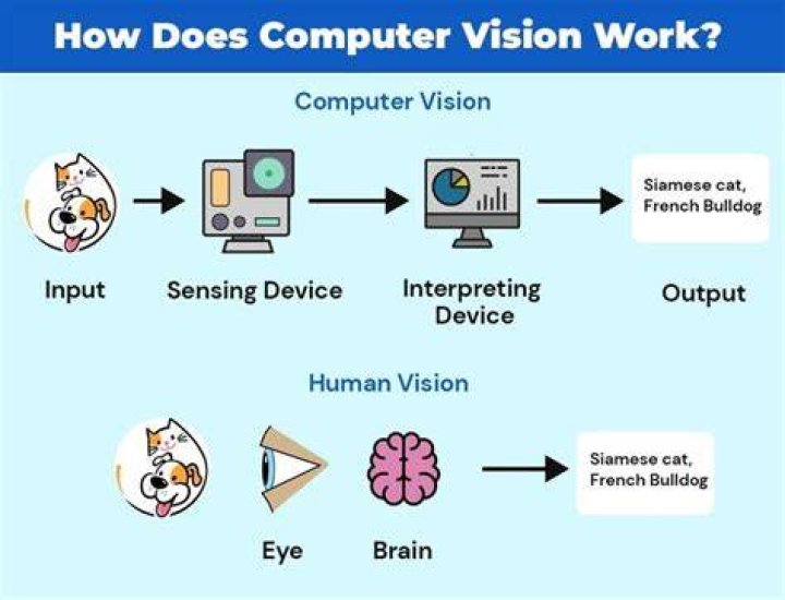 What is computer vision programming?