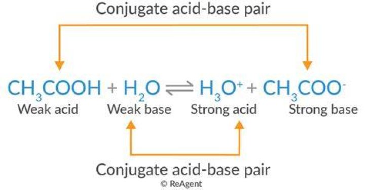 What is conjugate acid base pair?