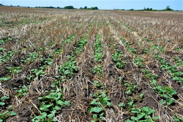 What is conservation tillage farming?