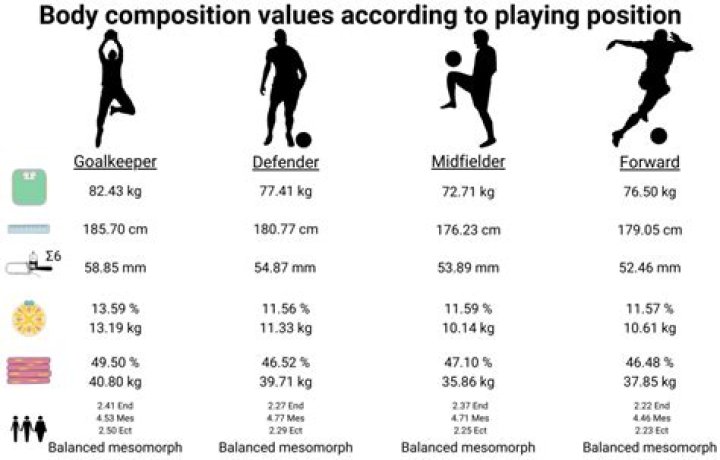 What is considered typical body composition for a female softball player?