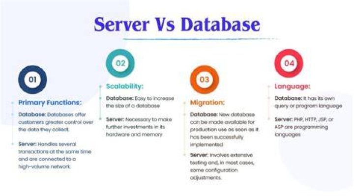 What is database and database server?