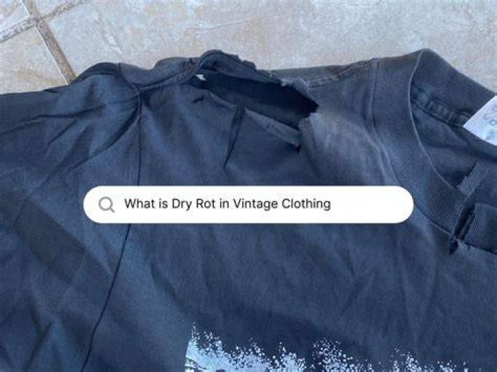 What is dry rot shirt?