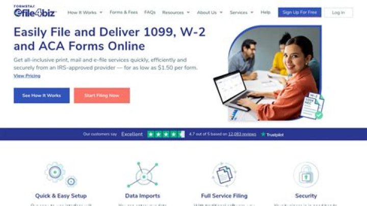What is eFile4Biz?