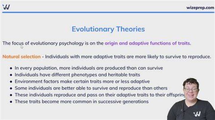 What is evolutionary theory in sociology?