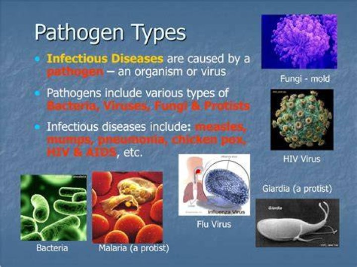 What is facultative pathogen?