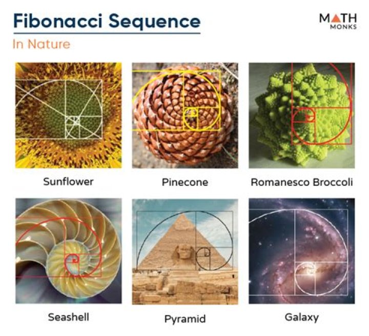 What is Fibonacci formula?