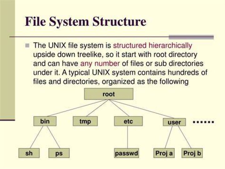 What is file structure in Unix?