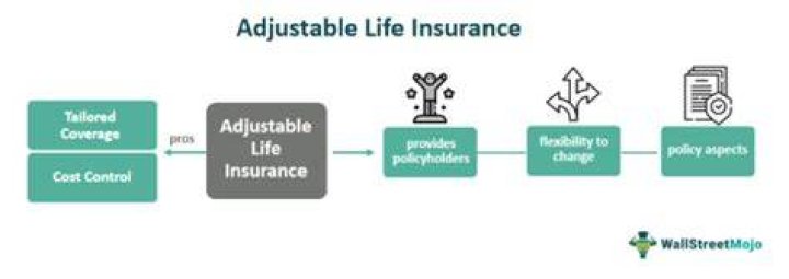 What is flexible adjustable life insurance?