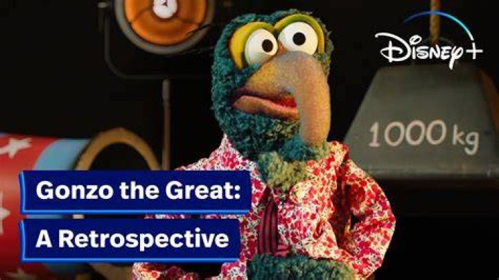What is gonzo genre?