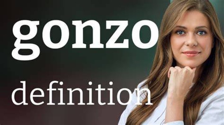 What is Gonzo in English?