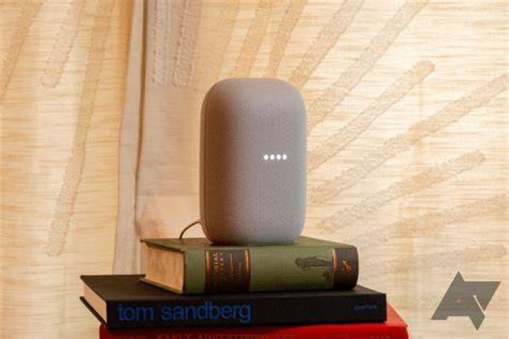 What is Google home Mini Good For?