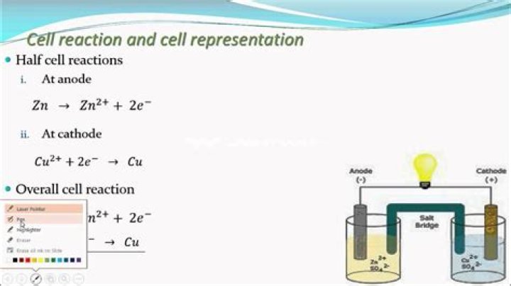 What is half cell reaction?