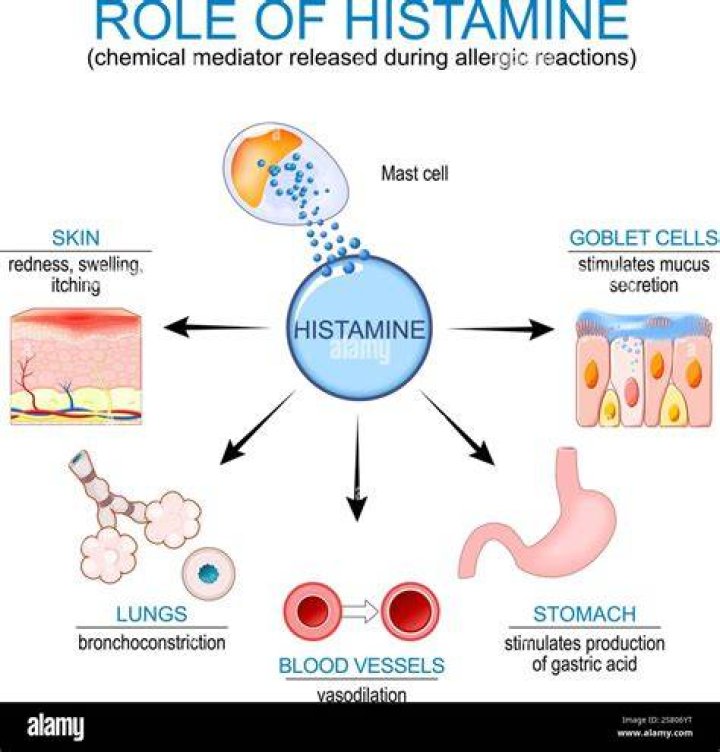 What is histamine in pharmacology?