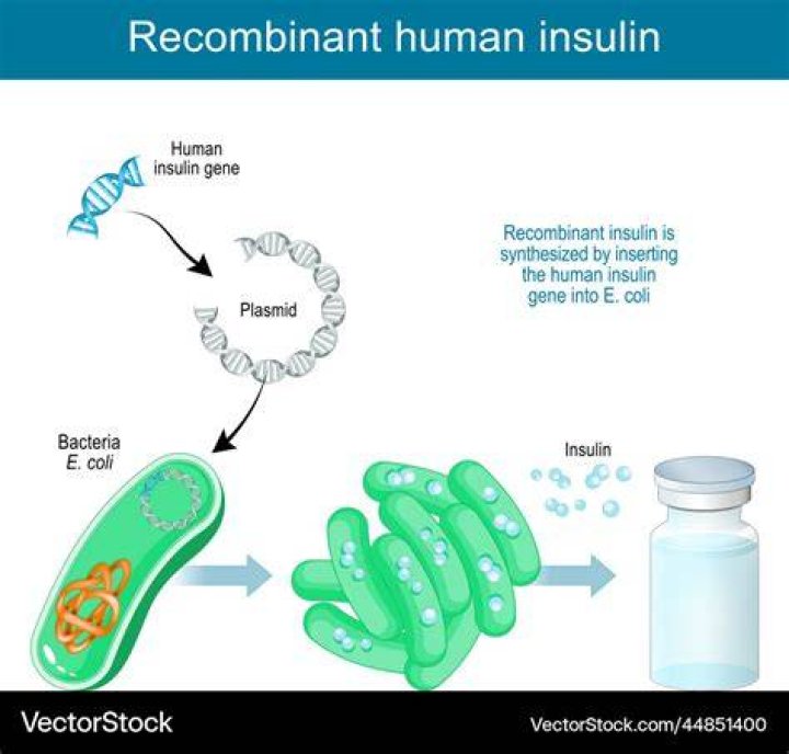 What is Humulin in biology?