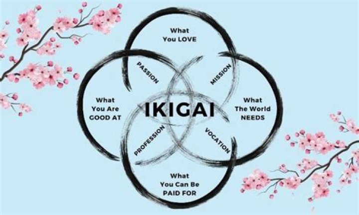 What is Ikigai in Japanese?