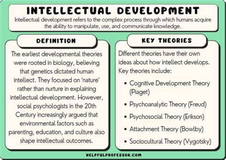 What is intellectual development in a child?