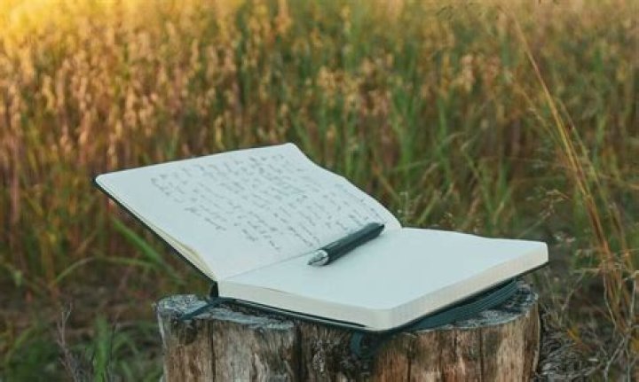 What is it called if you are scared of paper?