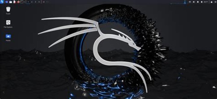 What is Kali Linux RPI?