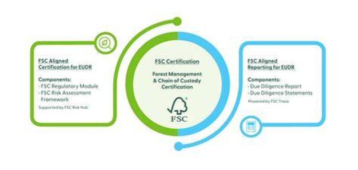 What is LCC and FSC?