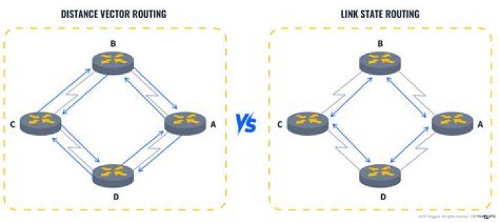 What is link state vector routing protocol?
