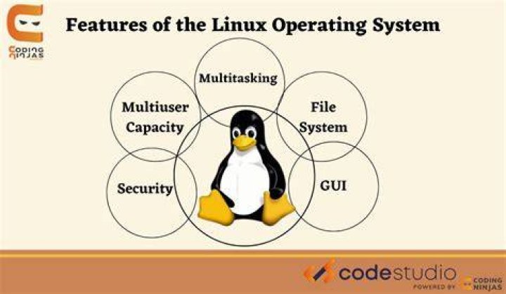 What is Linux in operating system?