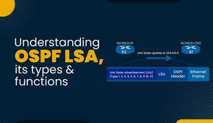 What is LSA and LSU in OSPF?