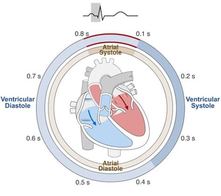 What is meant by Variac?