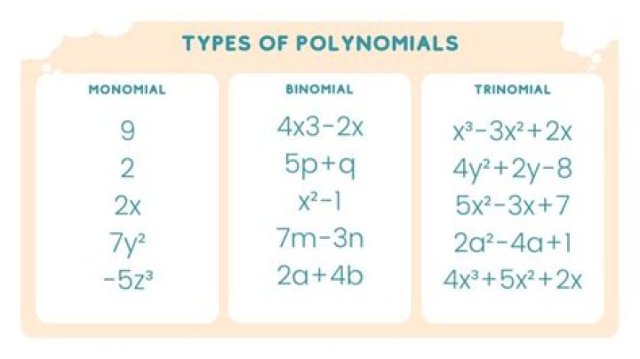 What is Monomial binomial trinomial?