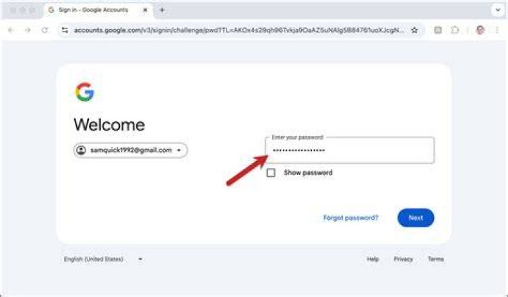 What is my password on my Gmail account?