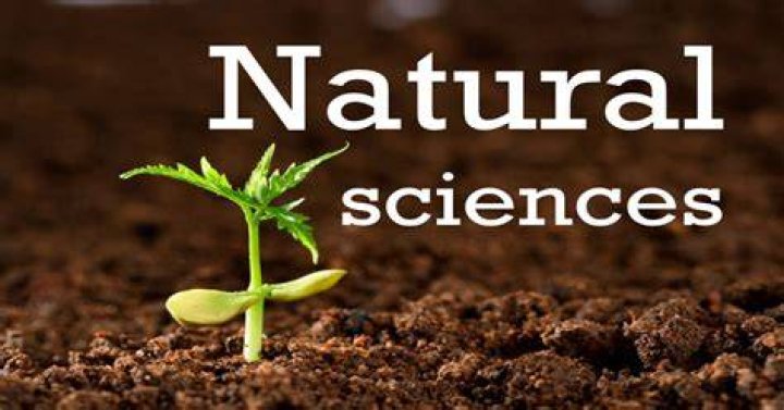 What is natural science methodology?