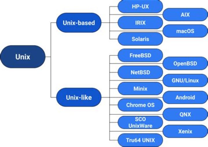 What is NIS in Unix?