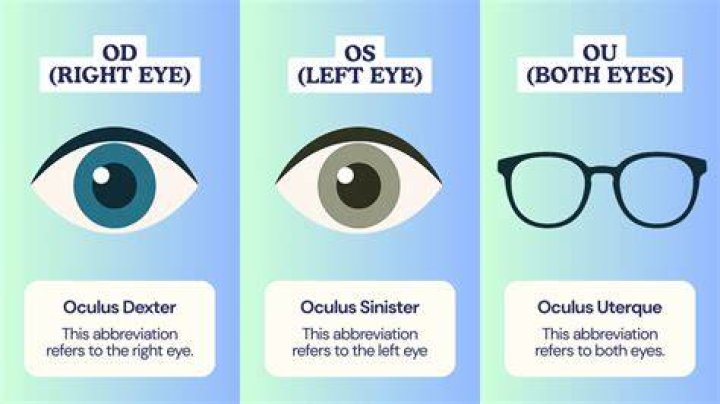 What is OD and TT?