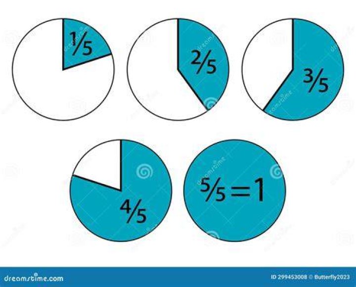 What is one fifth of a whole?
