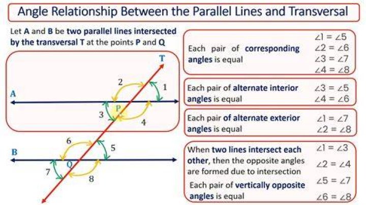 What is one relationship between lines and circles?