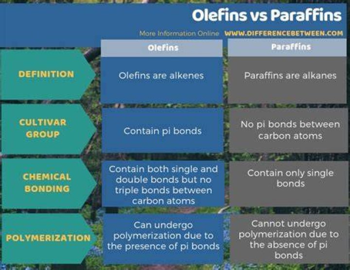 What is paraffin and olefin?