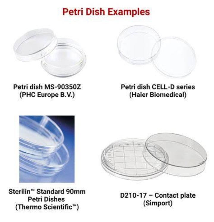 What is Petril? | ContextResponse.com