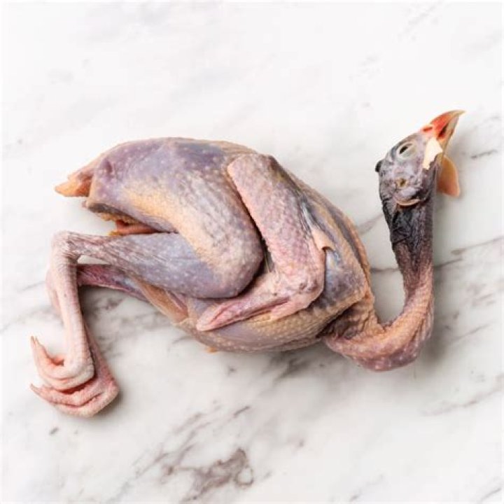 What is pheasant meat?
