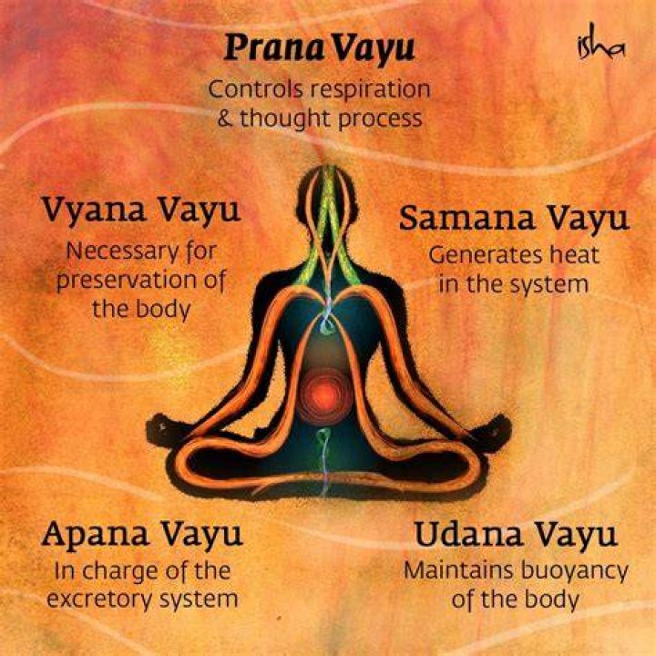 What is Prana Ayurveda?